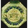 NEW YORK STATE POLICE PIN MINI BADGE PIN